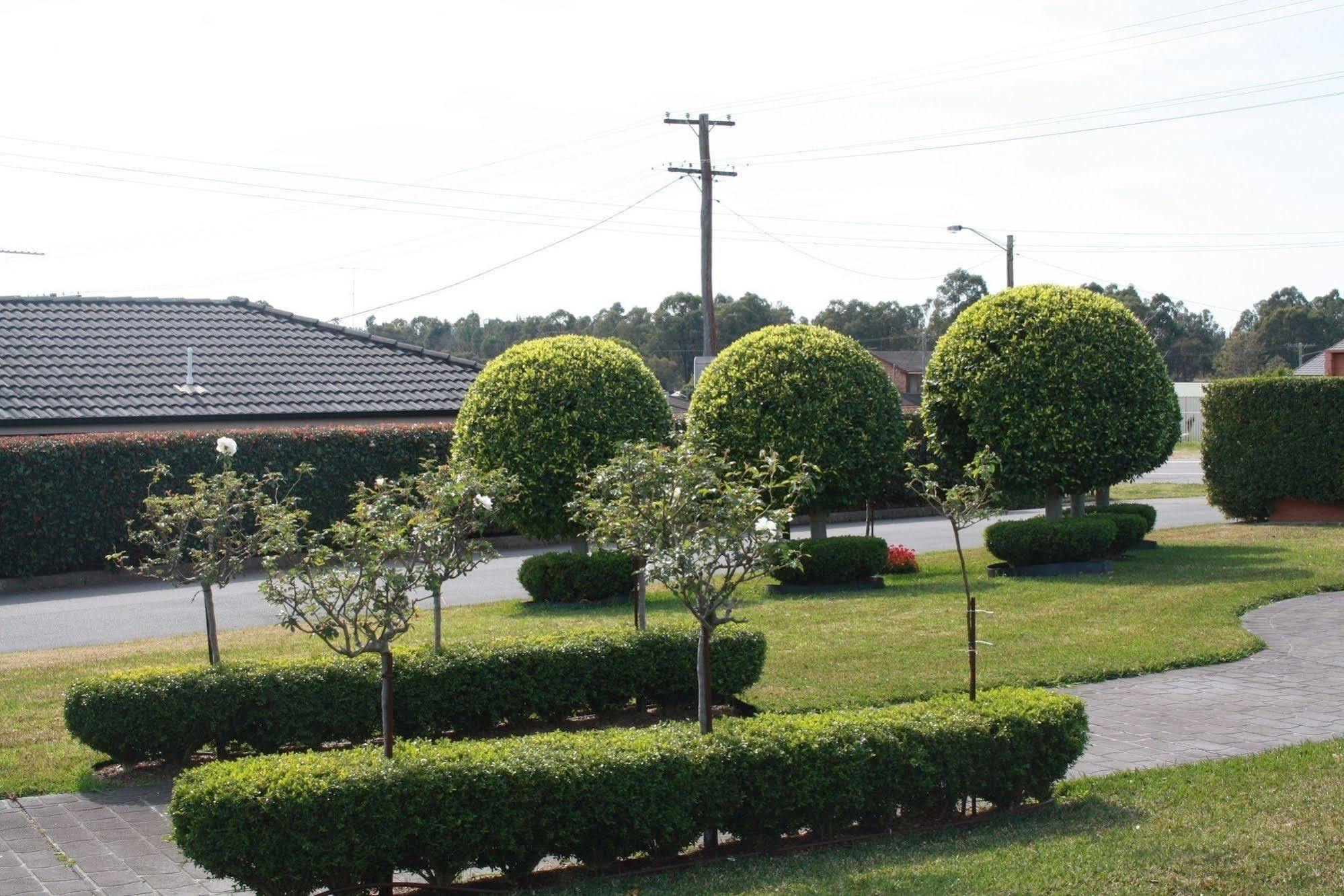 Hunter Valley Travellers Rest Motel Aberdare Buitenkant foto